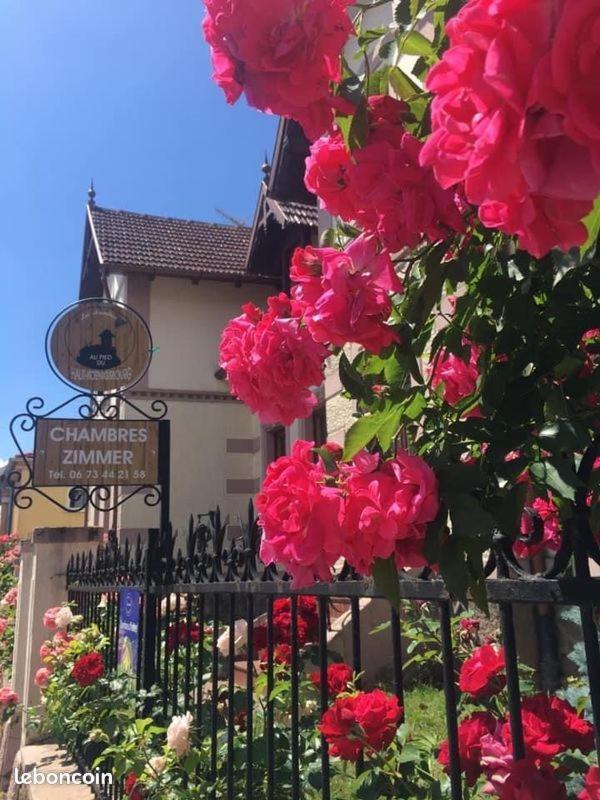 Gites Au Pied Du Haut-Koenigsbourg Kintzheim Exteriör bild